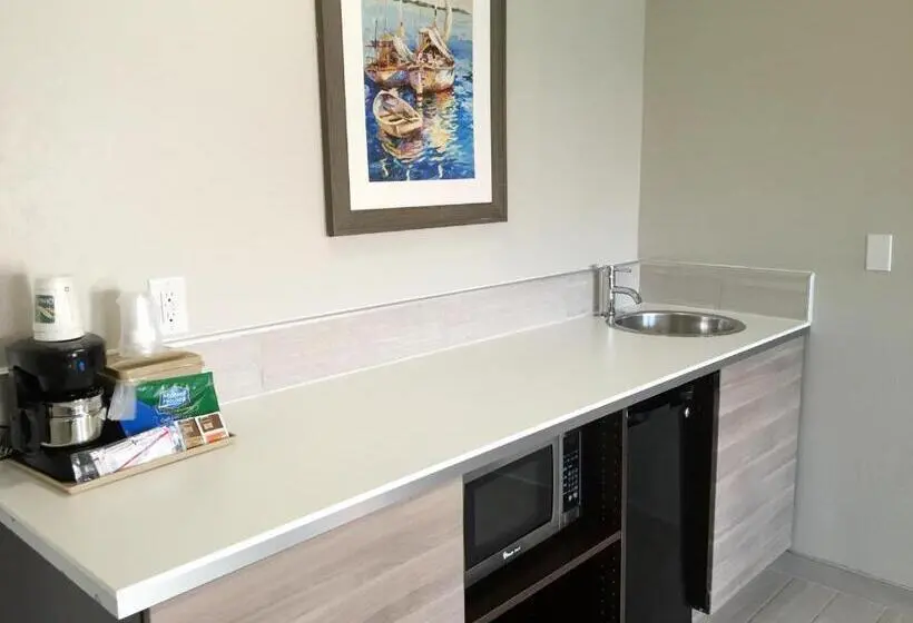 Sviitti King-vuode, Quality Inn & Suites By The Parks