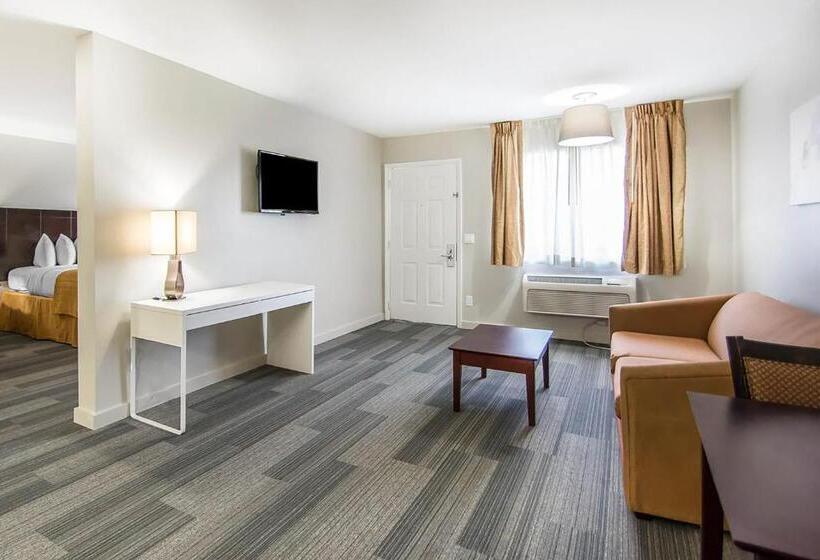 带大床的套房, Quality Inn & Suites By The Parks