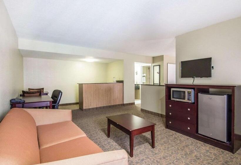 جناح سرير كينج, Quality Inn & Suites By The Parks