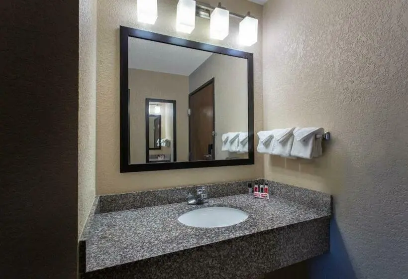 キングサイズベッドのスイートルーム, Ramada By Wyndham Glendale Heights/lombard