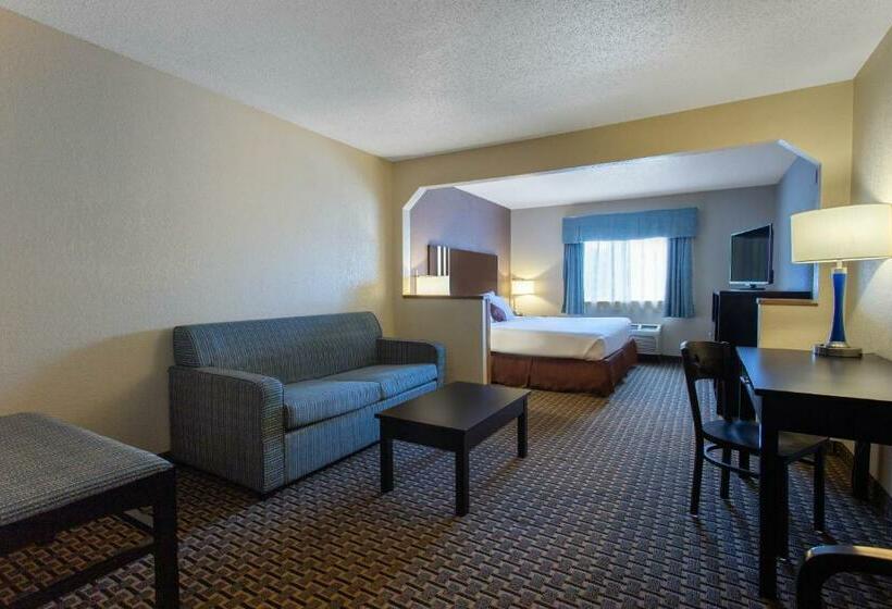 キングサイズベッドのスタンダードルーム, Ramada By Wyndham Glendale Heights/lombard