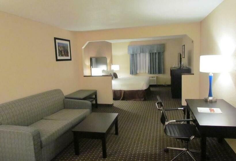 带大床的套房, Ramada By Wyndham Glendale Heights/lombard