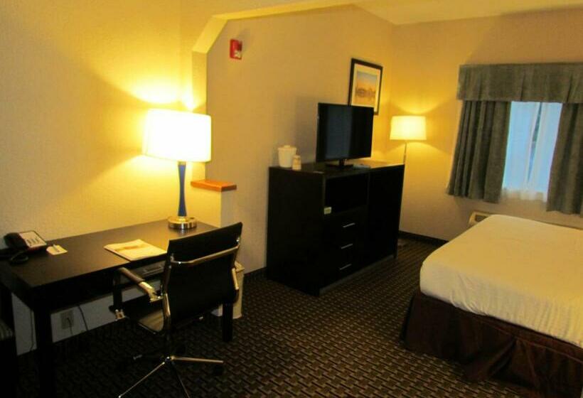 带大床的套房, Ramada By Wyndham Glendale Heights/lombard