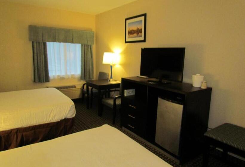 标准间, Ramada By Wyndham Glendale Heights/lombard