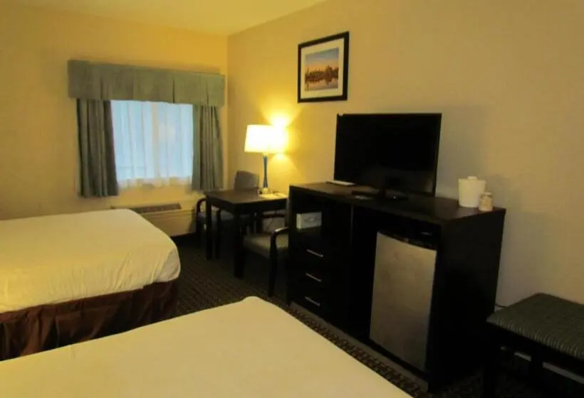 スタンダードルーム, Ramada By Wyndham Glendale Heights/lombard