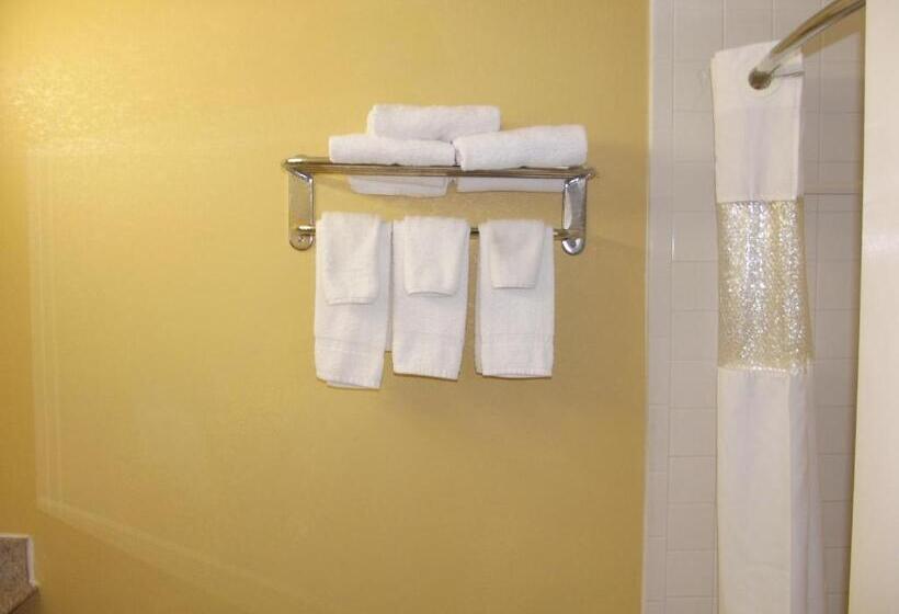 キングサイズベッドのスタンダードルーム, Ambassadors Inn & Suites
