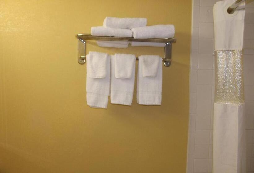 キングサイズベッドのスタンダードルーム, Ambassadors Inn & Suites