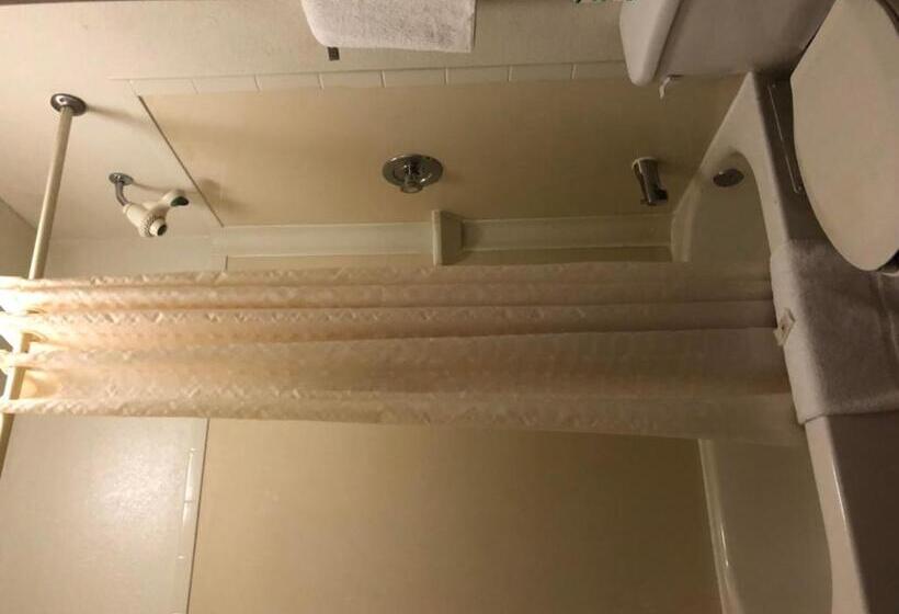 带大床的标准间, Lone Star Inn