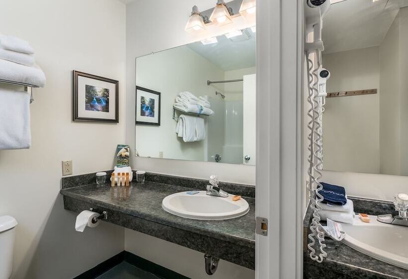 스탠다드 스튜디오, Grand Summit Hotel At Attitash