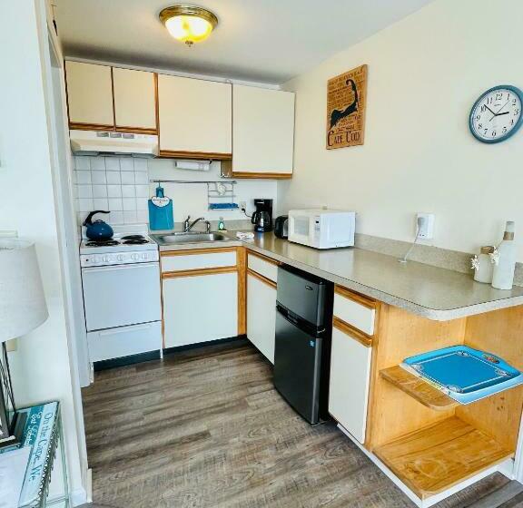 Апартаменты 1 Спальня Вид на Море, The Garlands Motel