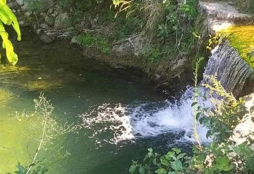 اتاق استاندارد, Medina