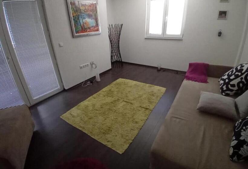 اتاق اکونومی, Medina