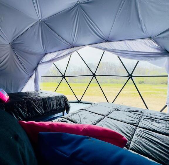 غرفة قياسية, Daydreamer Domes