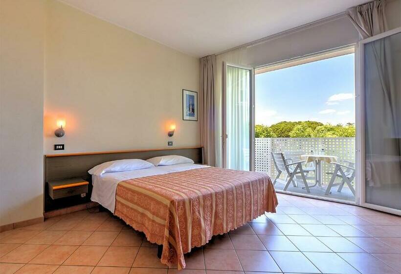 غرفة قياسية, Excelsior