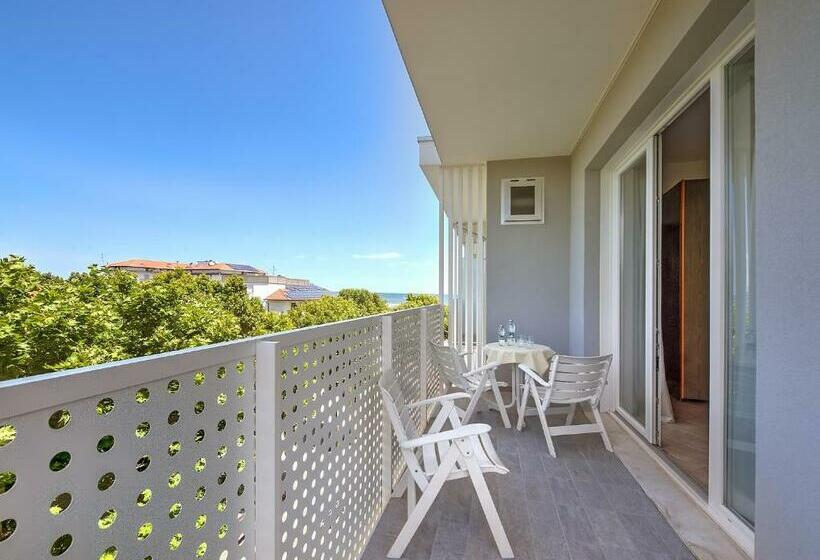 غرفة قياسية, Excelsior