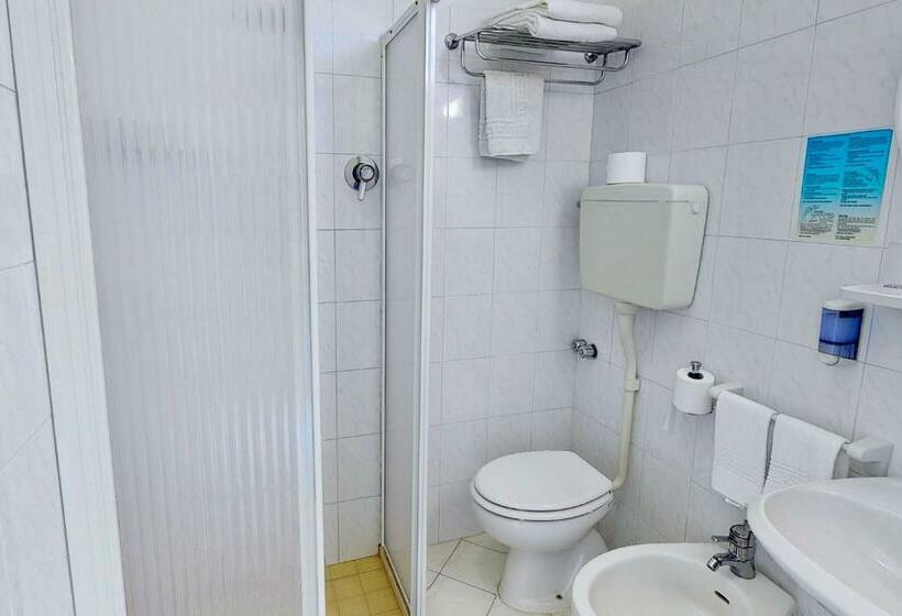 غرفة قياسية, Excelsior