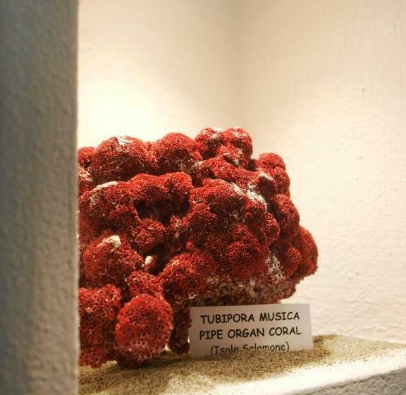 スタンダードシングルルーム, Garni Corallo