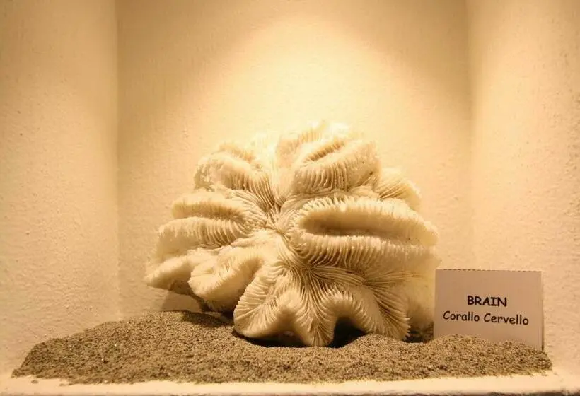 اتاق استاندارد با دسترسی به اسپا, Garni Corallo