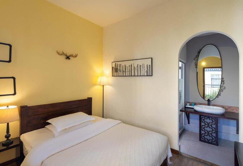 חדר בסיסי, Dali Garden