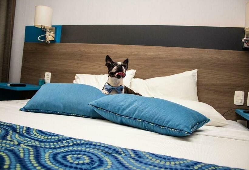 キングサイズベッドのスーペリアルーム, Hilton Garden Inn Santo Andre