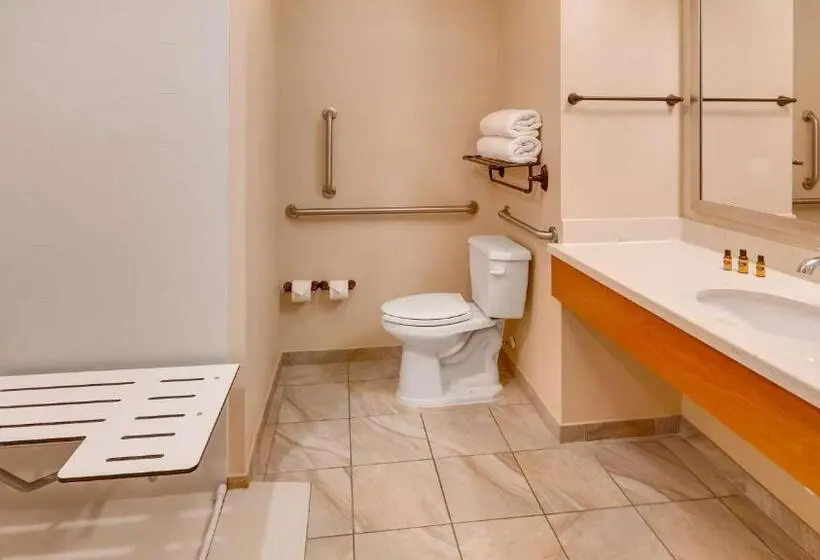 身障者適用キングサイズベッドルーム, Best Western Plus Tuscumbia/muscle Shoals Hotel & Suites