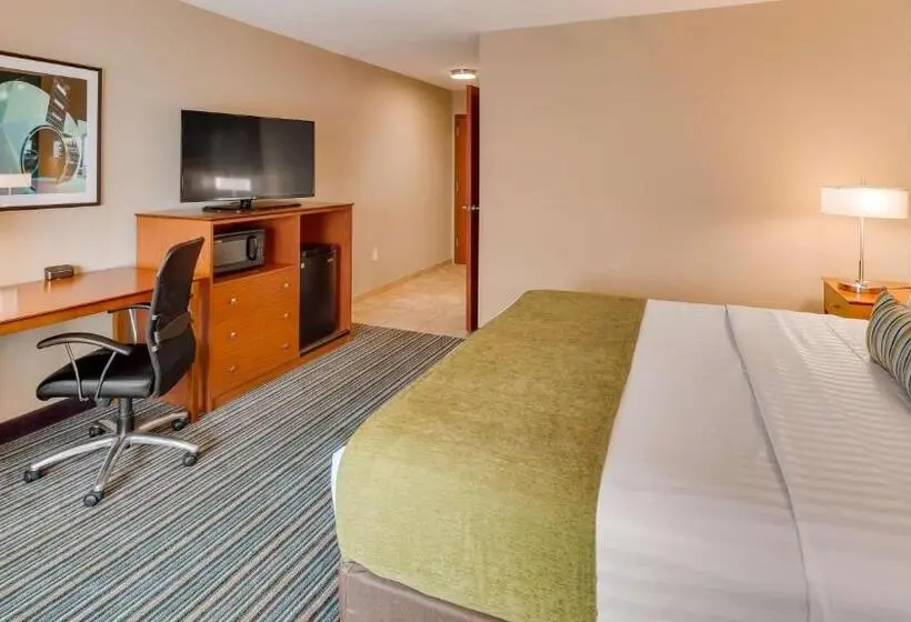 身障者適用キングサイズベッドルーム, Best Western Plus Tuscumbia/muscle Shoals Hotel & Suites