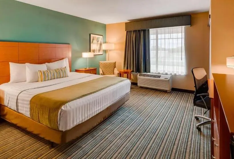 身障者適用キングサイズベッドルーム, Best Western Plus Tuscumbia/muscle Shoals Hotel & Suites