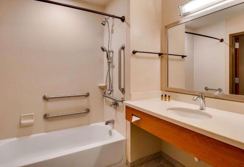 Номер Стандарт Кровать Кинг Адаптированный для Инвалидов, Best Western Plus Tuscumbia/muscle Shoals Hotel & Suites