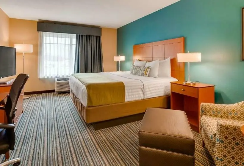 キングサイズベッドのスタンダードルーム, Best Western Plus Tuscumbia/muscle Shoals Hotel & Suites