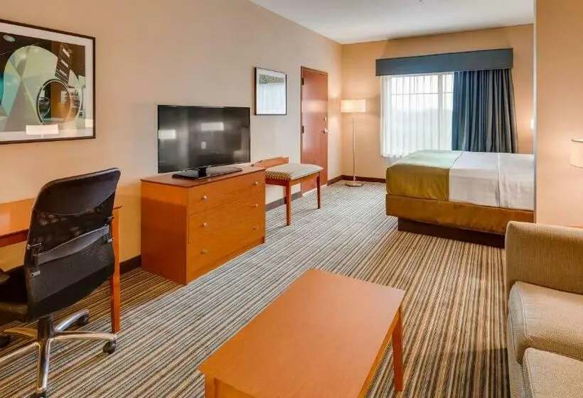キングサイズベッドのスイートルーム, Best Western Plus Tuscumbia/muscle Shoals Hotel & Suites