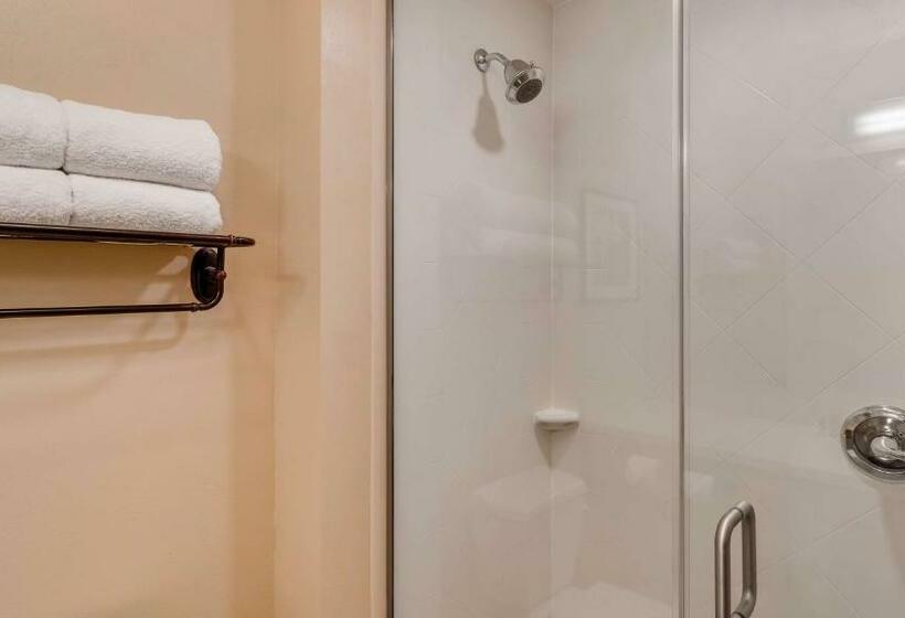 غرفة قياسية, Best Western Plus Tuscumbia/muscle Shoals Hotel & Suites