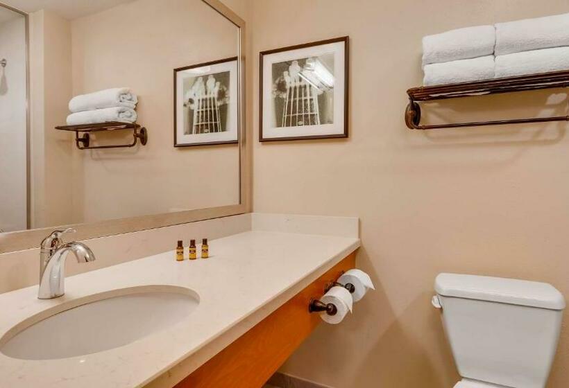 جناح سرير كينج, Best Western Plus Tuscumbia/muscle Shoals Hotel & Suites