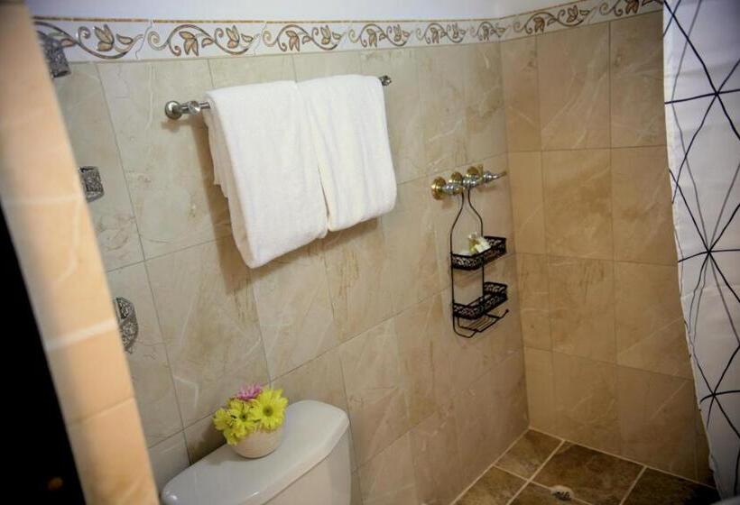 اتاق استاندارد, Fortaleza Suites Old San Juan