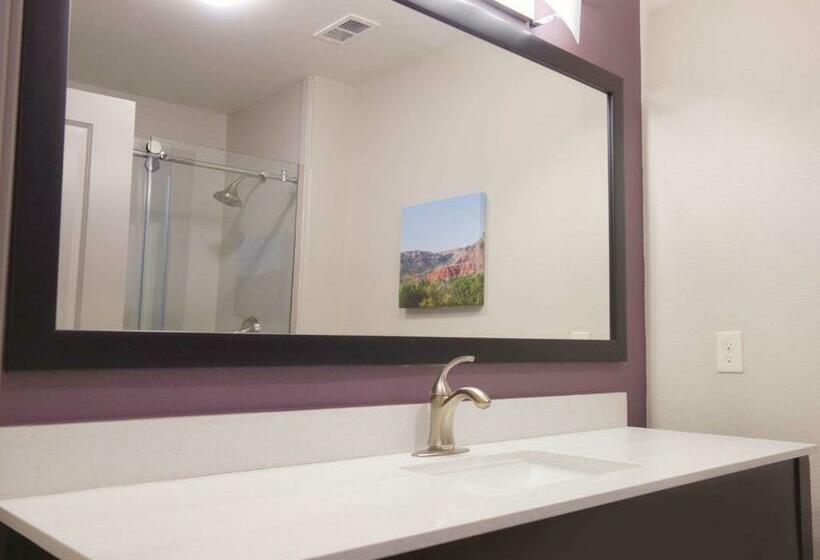 스탠다드 룸 킹사이즈 침대, La Quinta By Wyndham Pampa