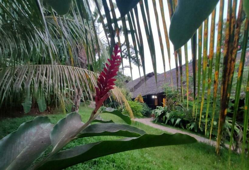 ویلای استاندارد با چشمانداز باغ, Clair De Lune