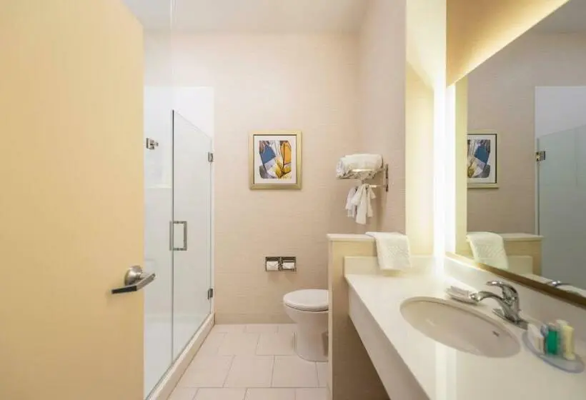 Sviitti, Fairfield Inn & Suites By Marriott Sidney