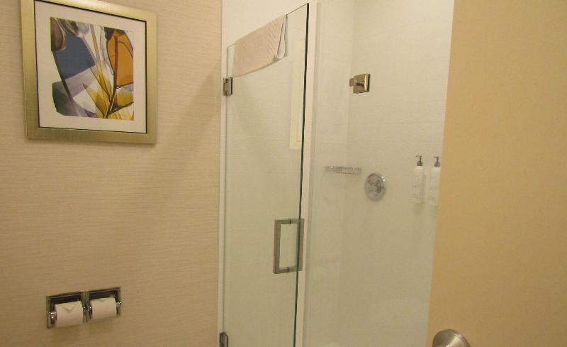 带大床的标准间, Fairfield Inn & Suites By Marriott Sidney