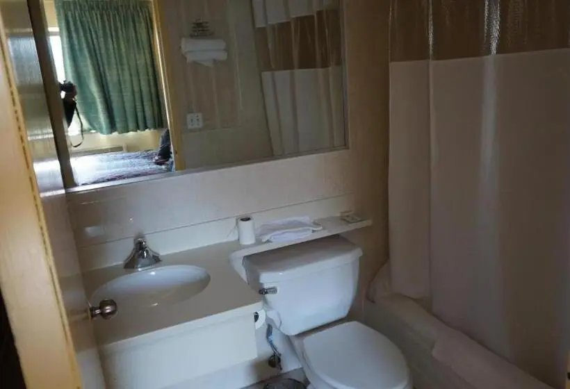 اتاق استاندارد با تخت بزرگ, Flushing Motel