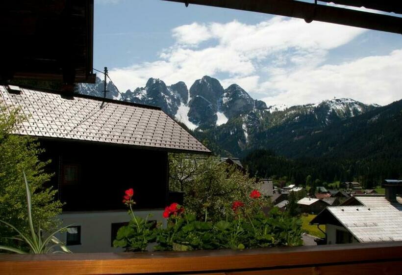 اتاق استاندارد با چشم‌انداز کوهستان, Andrea Schmaranzer   Privatzimmer