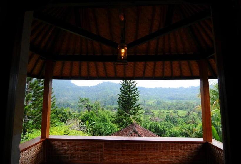 חדר משפחתי, Villa Karma Loka