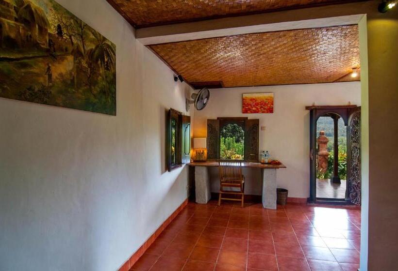 חדר סופריור, Villa Karma Loka