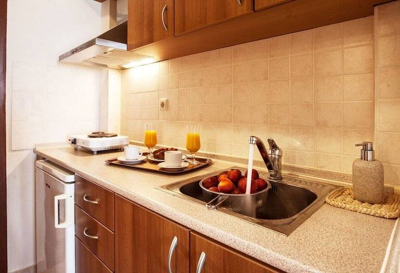 ガーデンビュースタンダードルーム, Paralio