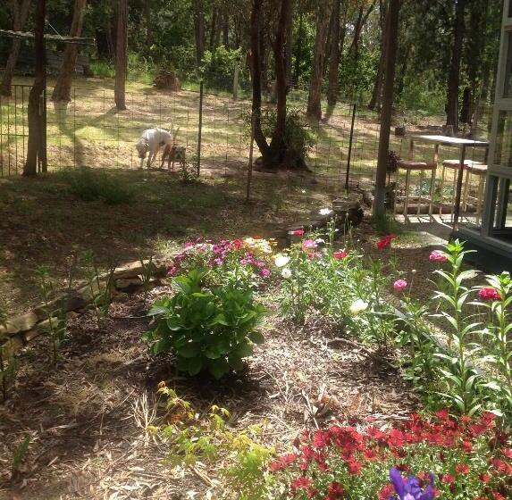 Люкс Кровать Кинг, Spa Suites At Raven