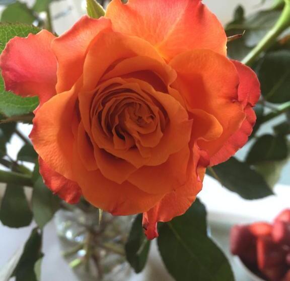 Люкс Кровать Кинг, Spa Suites At Raven