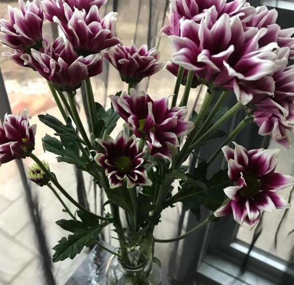 Люкс Кровать Кинг, Spa Suites At Raven