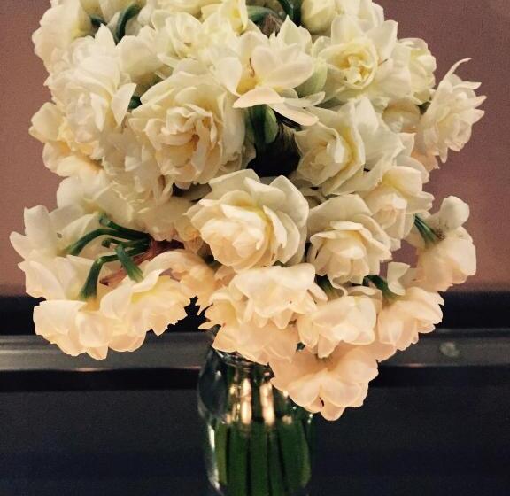 Люкс Кровать Кинг, Spa Suites At Raven