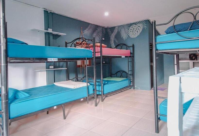 Łóżko we Wspólnym Pokoju, Phangan Arena Hostel