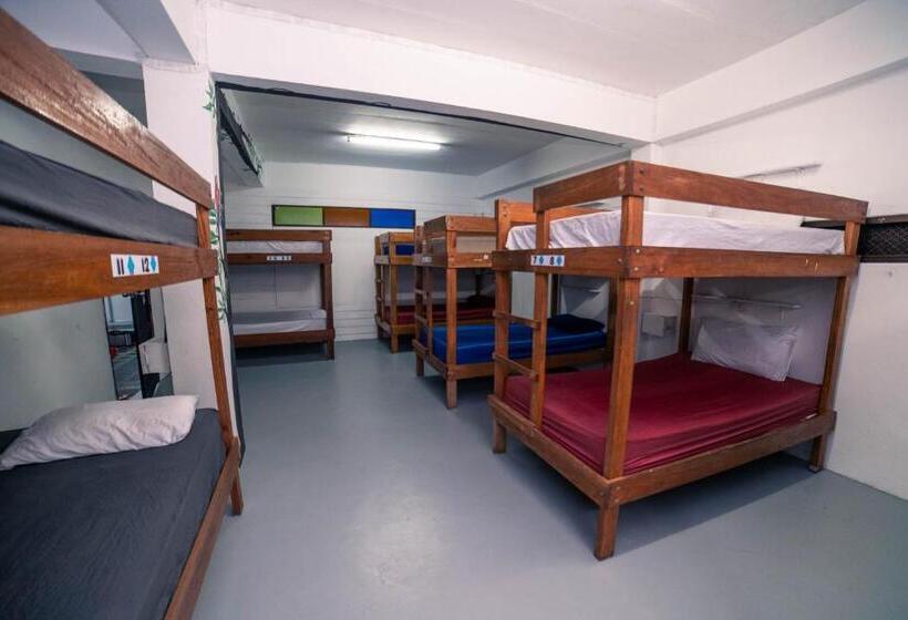 Łóżko we Wspólnym Pokoju, Phangan Arena Hostel