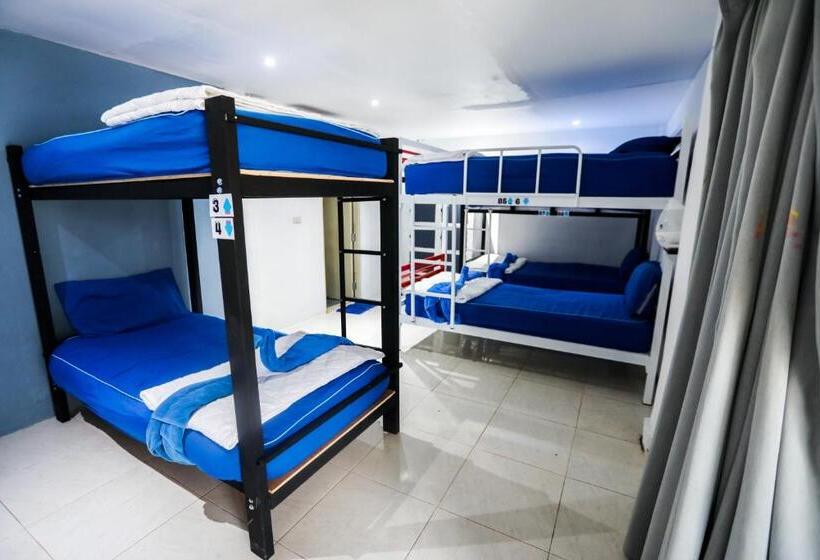 Łóżko we Wspólnym Pokoju, Phangan Arena Hostel