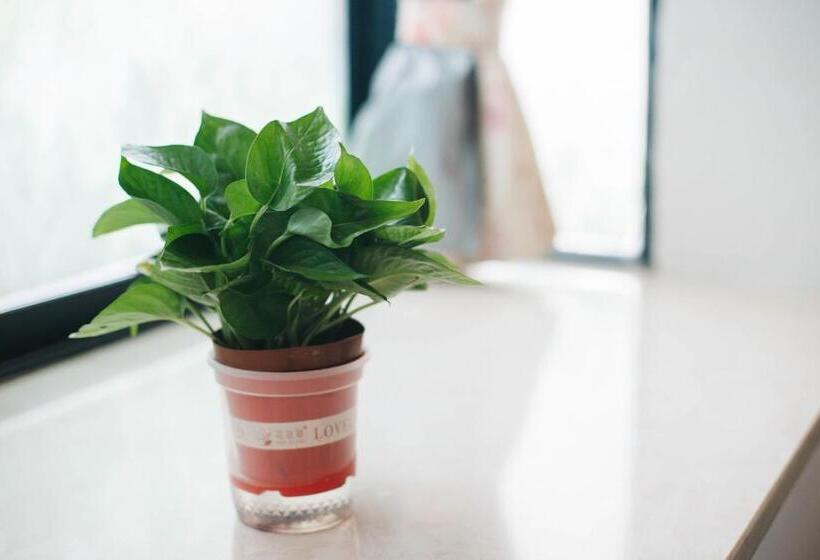 スタンダードルーム, California Zhangjiajie